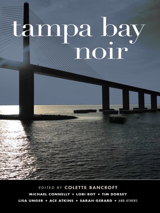 Cover image for Tampa Bay Noir (Akashic Noir)